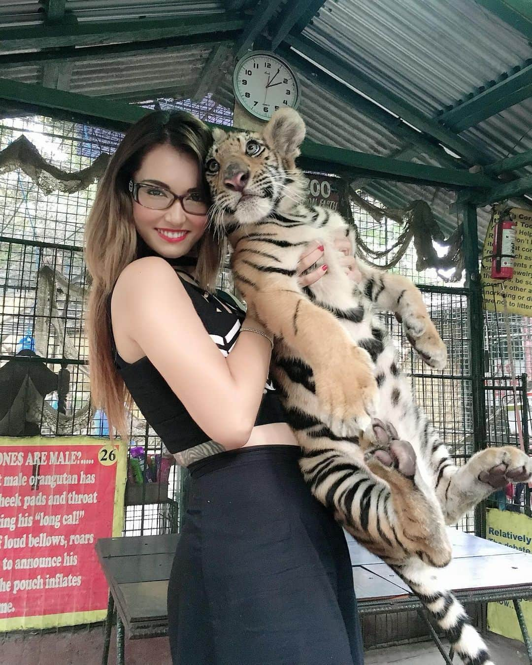 小澤マリアさんのインスタグラム写真 - (小澤マリアInstagram)「Missing my Cub… 💛  #tiger #cub #yearofthetiger #philippines #mnl #itsmorefuninthephilippines #summer #malabonzoo #quezoncity #zoo #mariaozawa #フィリピン #虎 #五黄の寅 #年女 #としおんな🐯 #プライベート #動物園 #マニライフ #フィリピン生活 #小澤マリア #虎好き #和彫り #虎 #百合 #蓮」3月4日 16時38分 - maria.ozawa0108