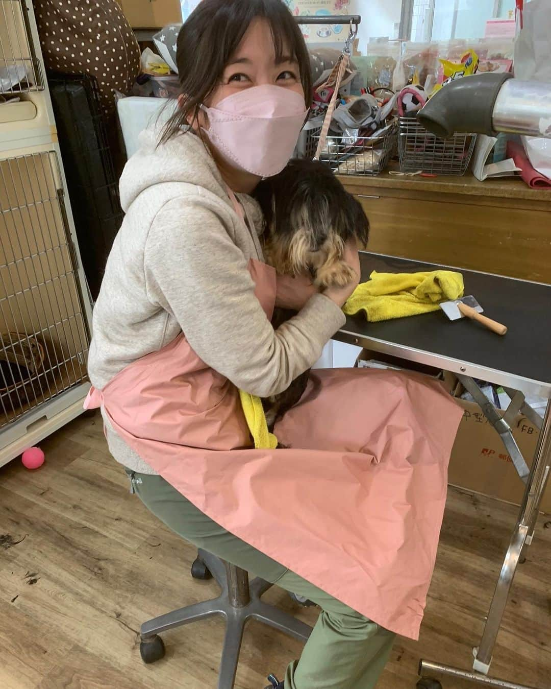 小野真弓さんのインスタグラム写真 - (小野真弓Instagram)「こんばんは☺️🐾  今日は急遽、 @gogogroomers  保護っ子レスキューの、 お手伝いへ行っておりました〜🙋‍♀️✂️^ ^  愛護センターへ、ぶーん🚗💨 千葉県でおきた 多頭飼い崩壊のわんこを６匹引き出し、  @wanbo_waka さんと @hattorimasumi さんへ、お届け🐶🐶🐶🐶🐶🐶 ぶーん🚗💨  そして、 @wanbojapan さんにて ボランティアトリミング✂️♨  ものすごい数の マルチーズ❓シーズー❓MIXわんこが、糞尿まみれで、ぼろぼろどろどろべったべた、毛玉だらけの状態で、収容されていました🥺 元々、200頭超えが 収容されていたそう。。  みんな可愛いくて優しい良い子たちです🥺🐾 適正な飼育をすれば、 もっともっともーっと、 可愛い子になるでしょう☺️ 推定4.5歳くらい❓  これから医療にかけて、 落ち着いたら、 家族探しが始まります😊🏡✨ またお知らせします☺️🐾  わんこの家族を探している方は〜 お見知りおきを〜 ＼(^ω^)／  #里親募集 #保護犬#マルシー#マルチーズ#シーズー #多頭飼い崩壊レスキュー#ボラトリ#搬送ボラ #ビフォーアフター #家族募集#mixdog #犬猫日記 🏡 うちの子たちは、　 お利口さんにお留守番、よく頑張りました☺️ 🐶🐶🐯🐯 みんなみんなありがとう(o^^o)💓」3月4日 20時53分 - hanaharuaroi