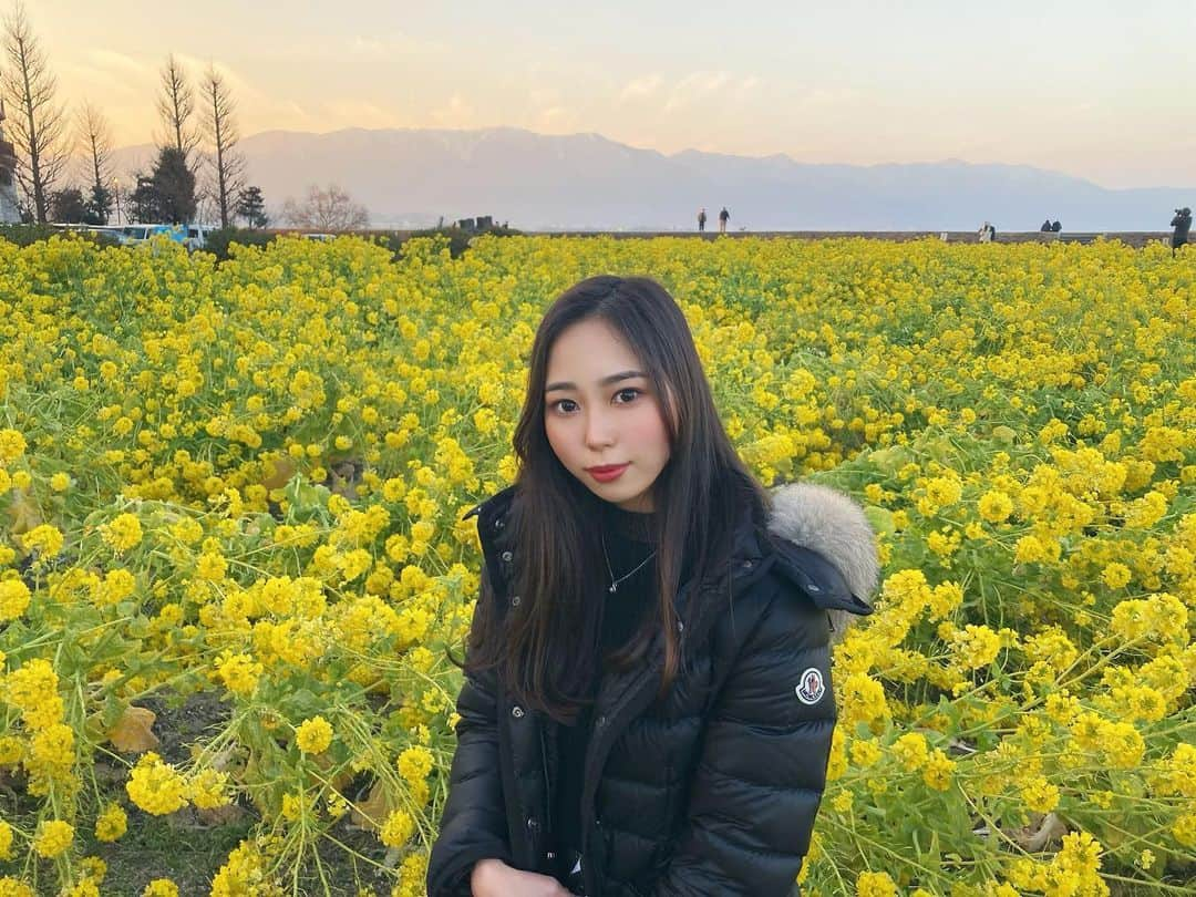 小西陽向のインスタグラム：「お散歩してたら菜の花畑を見つけた👀 お散歩は、色んなサプライズがあるから好きなんだー🌻 自然を感じるってほんと幸せなことだし人間にとって重要なこと！！ 心がくすんだ時は、自然を見てぼーっとするのが1番！世の中妬み嫉みだらけでHSPの私は目を見ただけで人の感情や考えが手に取るように分かるから苦しくなる🥲 自分を磨いてたら妬みや嫉みは出てこないし、人のこと言う前に自分のレベルをあげようー！！って世界中に叫びたい😵‍💫 戦争に関しては、もう本当に言葉がでない no war❌ . . . #関西　#琵琶湖マリオットホテル #マリオットホテル　#菜の花畑　#滋賀県　#滋賀県観光　#nowar」