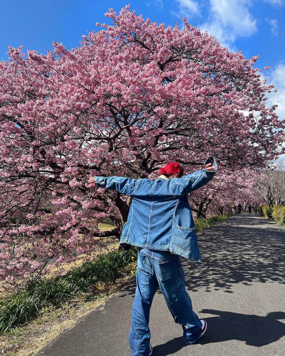 高木琢也さんのインスタグラム写真 - (高木琢也Instagram)「３６年間生きてきて史上最高な桜でした🌸 飛べそうだったぜー✈️❤️‍🔥 #CM撮影 #まじ最高 #ヘアメイク #美容師 #OCEANTOKYO」3月4日 22時58分 - takagi_ocean