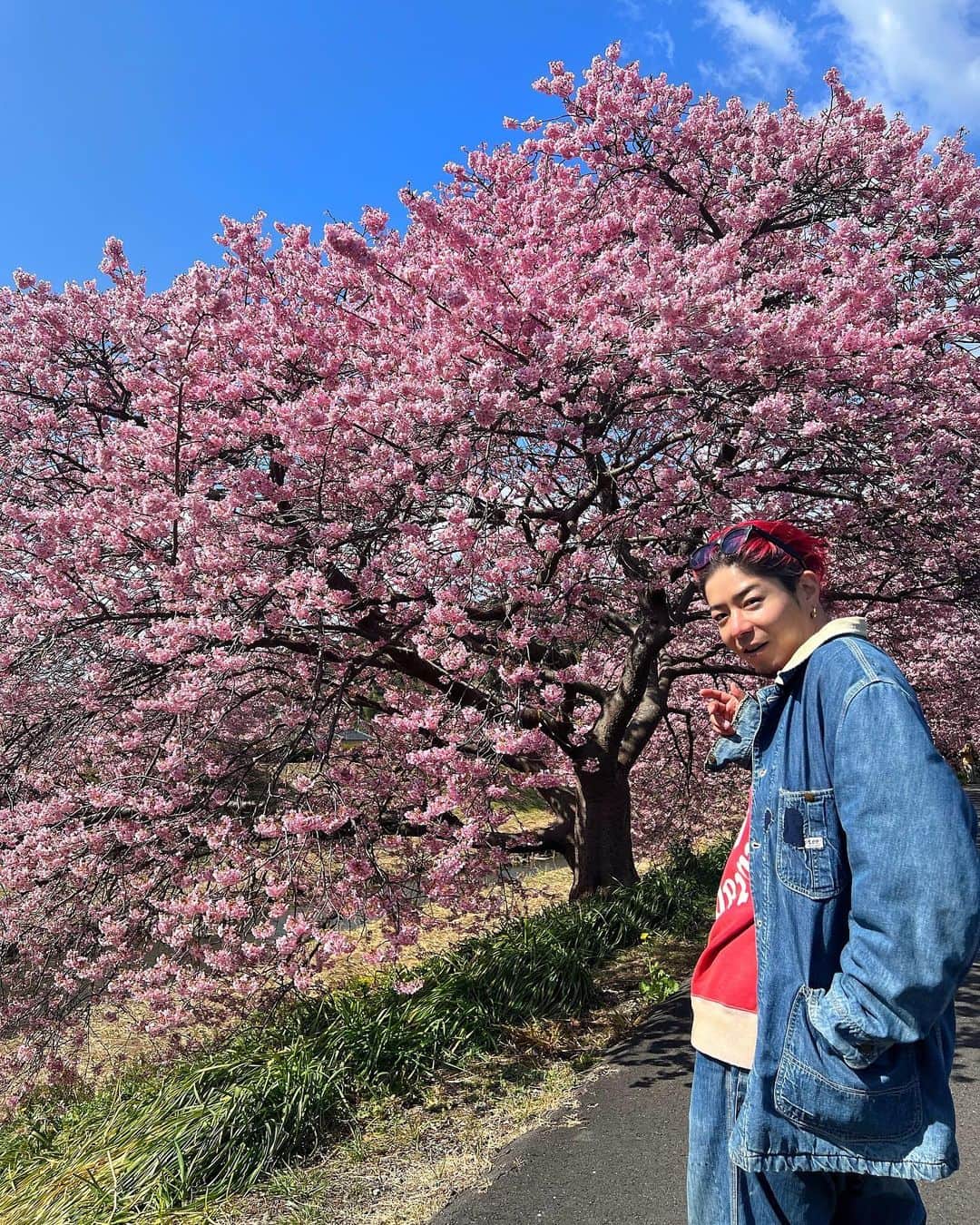 高木琢也さんのインスタグラム写真 - (高木琢也Instagram)「３６年間生きてきて史上最高な桜でした🌸 飛べそうだったぜー✈️❤️‍🔥 #CM撮影 #まじ最高 #ヘアメイク #美容師 #OCEANTOKYO」3月4日 22時58分 - takagi_ocean
