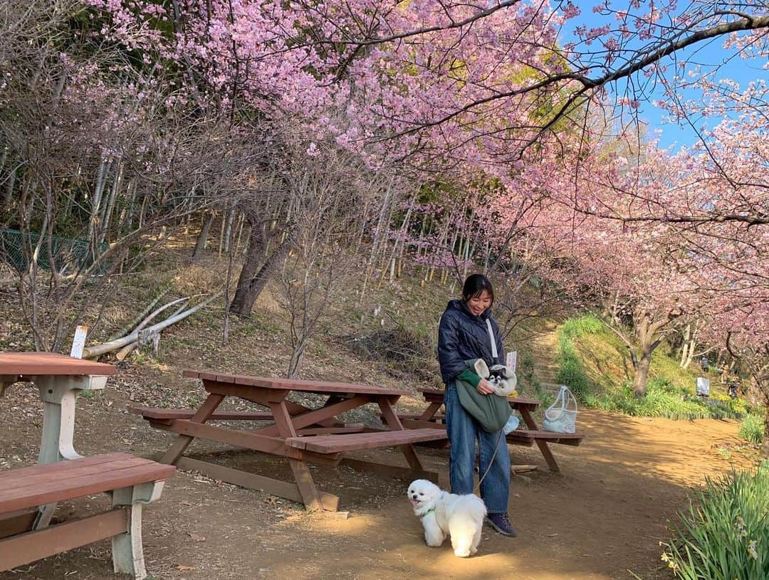 小野真弓のインスタグラム