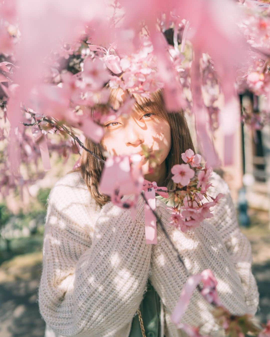 葵なつみさんのインスタグラム写真 - (葵なつみInstagram)「今年初桜🌸  photo📚　@kouyou_jp   縁結びもしてきました⛩  今年も 素敵な縁があるといいな🤲🏻🌸  #桜神宮 #お花見　#縁結び　#photography #cherryblossoms  #cherryblossom #撮影モデル #ポートレート #portrait #桜ポートレート #🌸 #撮影会モデル　#japanesegirl #hair #follow #portrait #mekeup #dentist #followｍe #ポトレ女子 #ポトレ #ポトレのセカイ #ポトレの世界 #사진　#벚꽃」3月5日 18時13分 - natsumi_vvvv