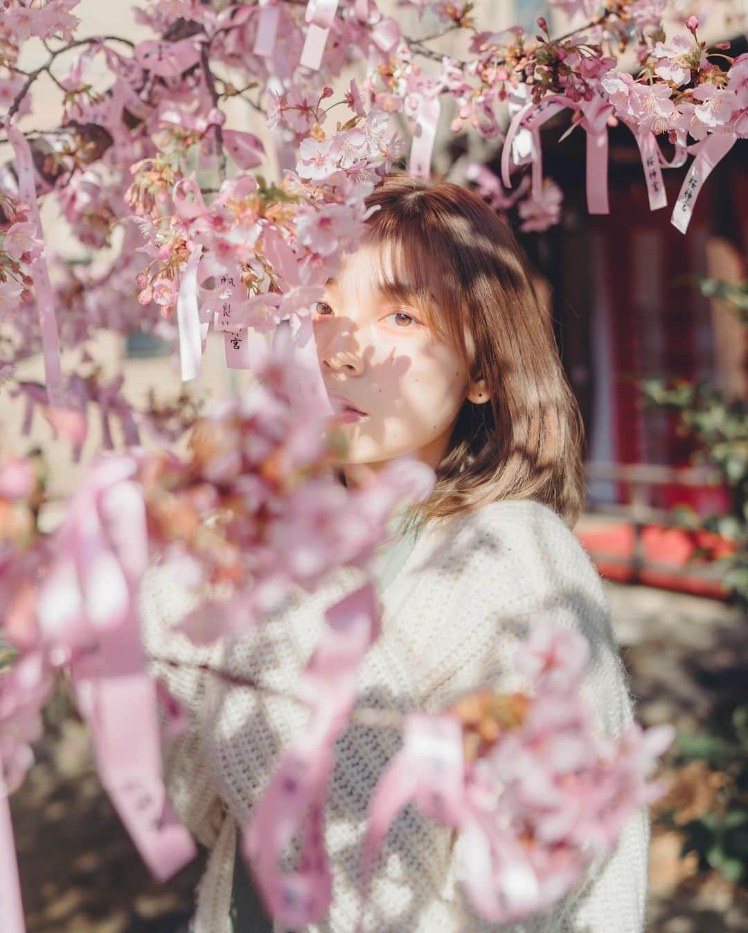 葵なつみのインスタグラム：「今年初桜🌸  photo📚　@kouyou_jp   縁結びもしてきました⛩  今年も 素敵な縁があるといいな🤲🏻🌸  #桜神宮 #お花見　#縁結び　#photography #cherryblossoms  #cherryblossom #撮影モデル #ポートレート #portrait #桜ポートレート #🌸 #撮影会モデル　#japanesegirl #hair #follow #portrait #mekeup #dentist #followｍe #ポトレ女子 #ポトレ #ポトレのセカイ #ポトレの世界 #사진　#벚꽃」