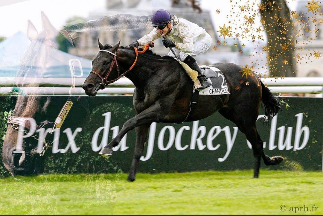 のインスタグラム：「My old friend Le Havre aka “le Magnifique” has passed away . He was the proud of so many people. You will be missed . Rip #lehavre#champion#sadness」