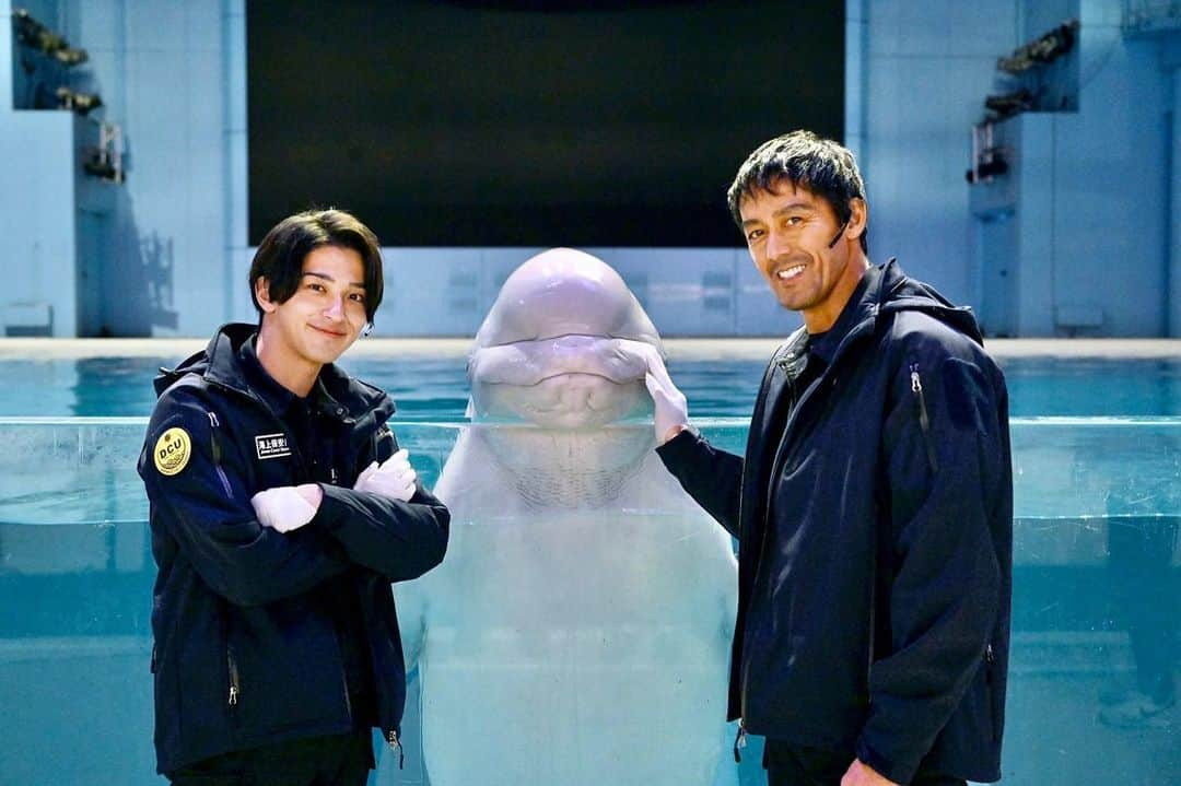 DCUさんのインスタグラム写真 - (DCUInstagram)「今週の #寛と流星 🐬💖  事件の舞台となる #八景島シーパラダイス 🏖 のシロイルカと🤳🏻  積極的にふれあうお2人でした♡ このあとごはんをあげる体験もさせて頂きました😆  #DCU 第７話 ３月６日(日)よる9時〜放送🤿  #DCUjapan #TBS #日曜劇場 #シーパラ #シロイルカ #寛と流星とシーマ #阿部寛 #横浜流星 #中村アン #山崎育三郎 #趣里 #高橋光臣 #岡崎体育 #有輝(#土佐兄弟) #佃典彦 #春風亭昇太 #市川実日子 #吉川晃司」3月5日 12時16分 - dcu_japan