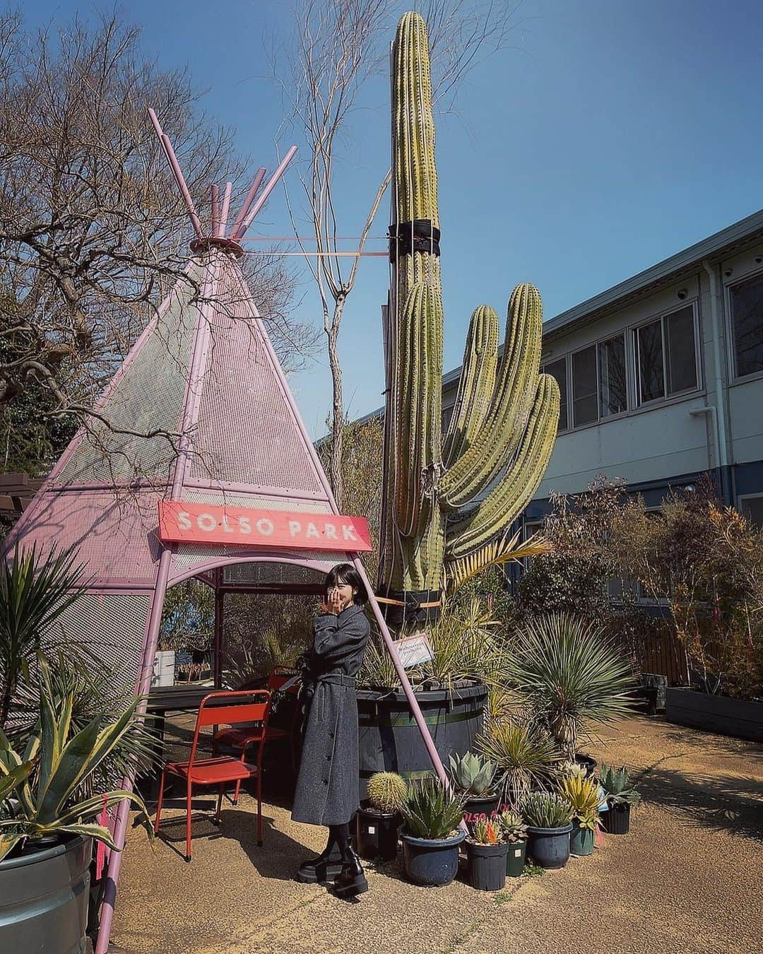 志崎樺音さんのインスタグラム写真 - (志崎樺音Instagram)「・🌵  今日はお天気良かったですね！ 皆さんは何して過ごしましたか？」3月5日 19時25分 - kshizaki_official