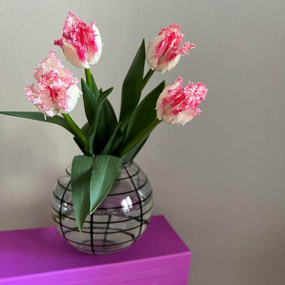 森川侑美のインスタグラム：「お花を買うと 掃除するモチベーションがグッとあがる🌷🌷💟  このチューリップの品種の名前がネグリジェ..zzz🛏 見た目も名前も柔らかくて可愛いのに 触ると痛いところもまた可愛い🦔♡  春だなぁ〜🥰 #march#spring#flower#🌷#interiordesign」