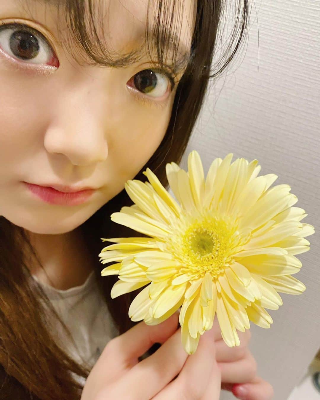 詩月まどか（詩月圓）さんのインスタグラム写真 - (詩月まどか（詩月圓）Instagram)「元気になる黄色。 素敵なお花。 まどかにとってお花は癒しの1つです。 #happiness  #flower  #yellow」3月5日 20時32分 - shizuki_madoka