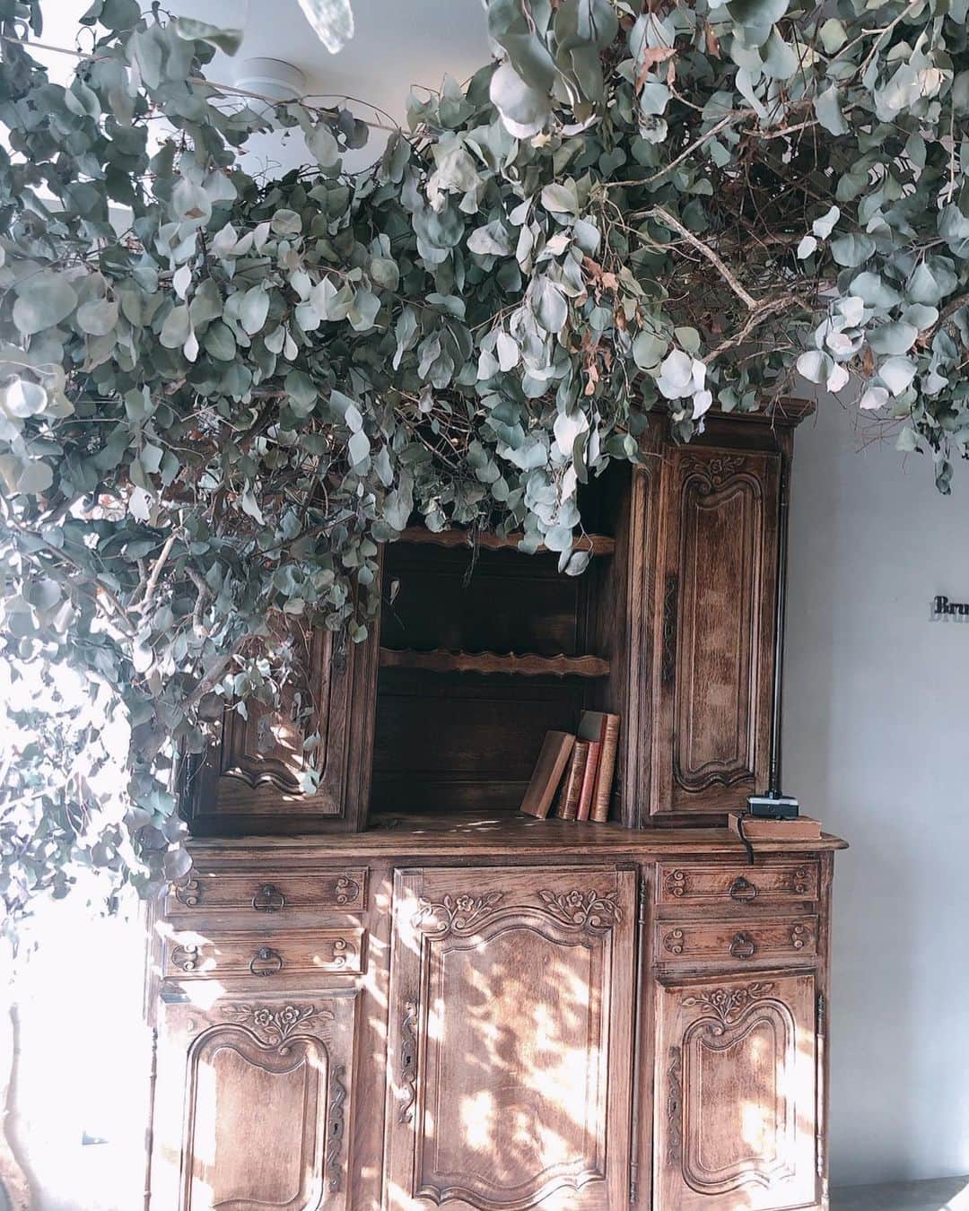 中野美奈子のグルメインスタ