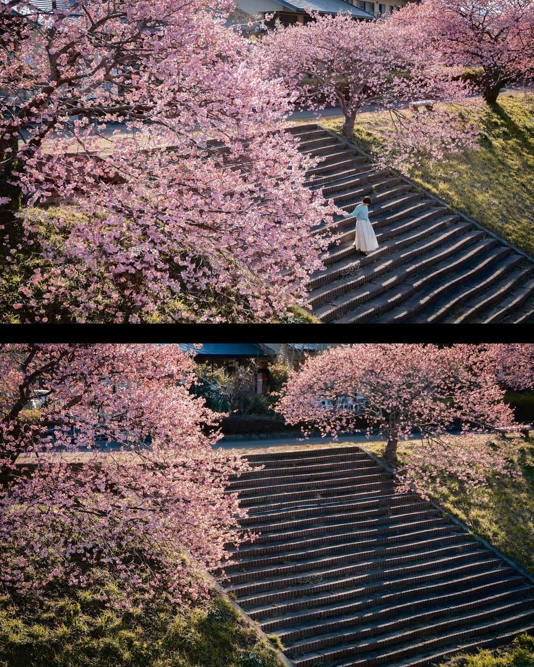 佐藤俊斗さんのインスタグラム写真 - (佐藤俊斗Instagram)「2022年桜の絶景。 ⁡ この場所へ訪れるのも今年で3年目となりました。 ずっと変わらない景色。今年も最高の桜並木でした。 是非見てみてください🌸 ⁡ ⁡ ⁡ ⁡ ⁡ ⁡ ⁡ ⁡ #2022年春 #夕陽と桜  #佐藤俊斗 #桜写真 #さくら」3月5日 22時09分 - shuntosato