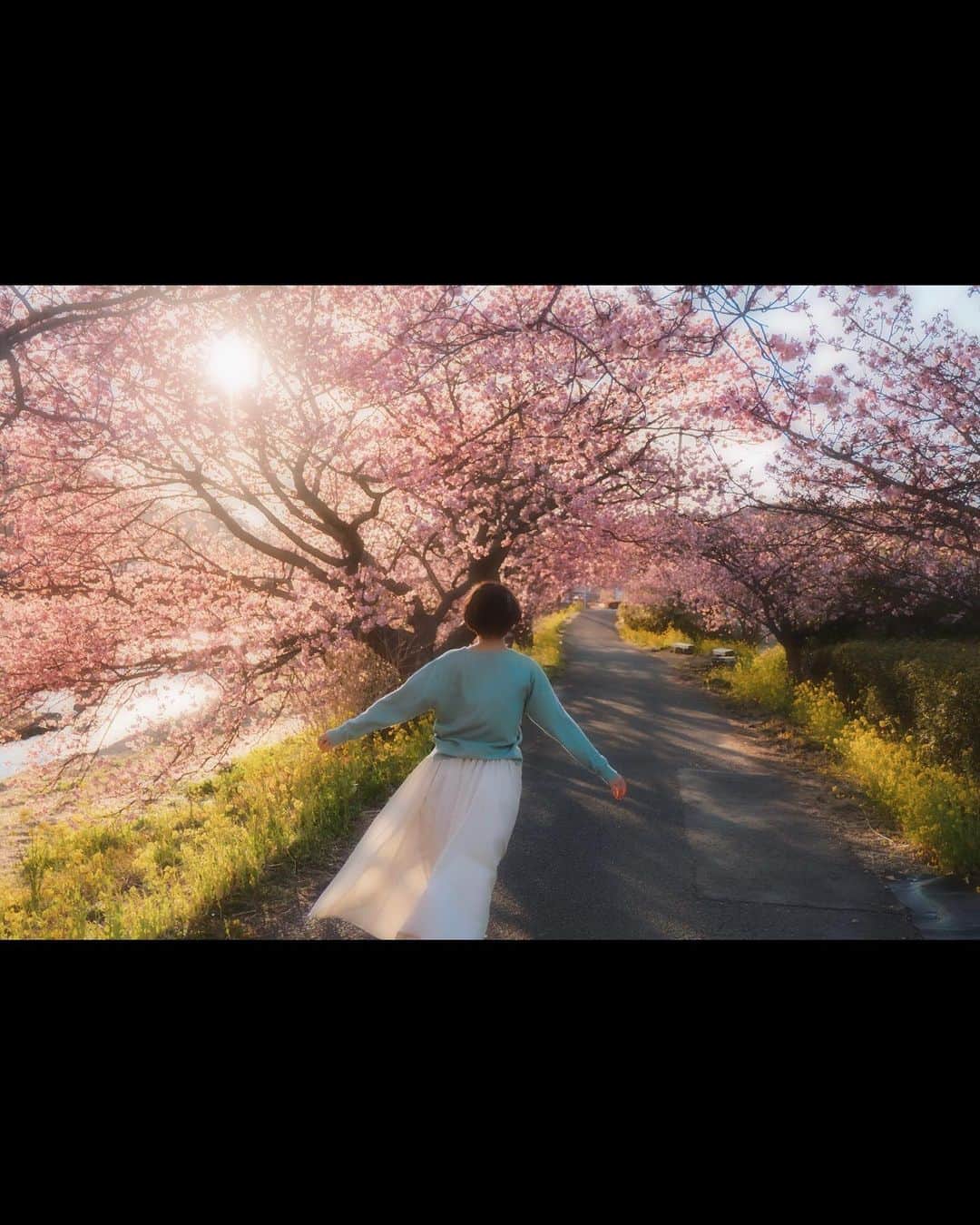 佐藤俊斗さんのインスタグラム写真 - (佐藤俊斗Instagram)「2022年桜の絶景。 ⁡ この場所へ訪れるのも今年で3年目となりました。 ずっと変わらない景色。今年も最高の桜並木でした。 是非見てみてください🌸 ⁡ ⁡ ⁡ ⁡ ⁡ ⁡ ⁡ ⁡ #2022年春 #夕陽と桜  #佐藤俊斗 #桜写真 #さくら」3月5日 22時09分 - shuntosato