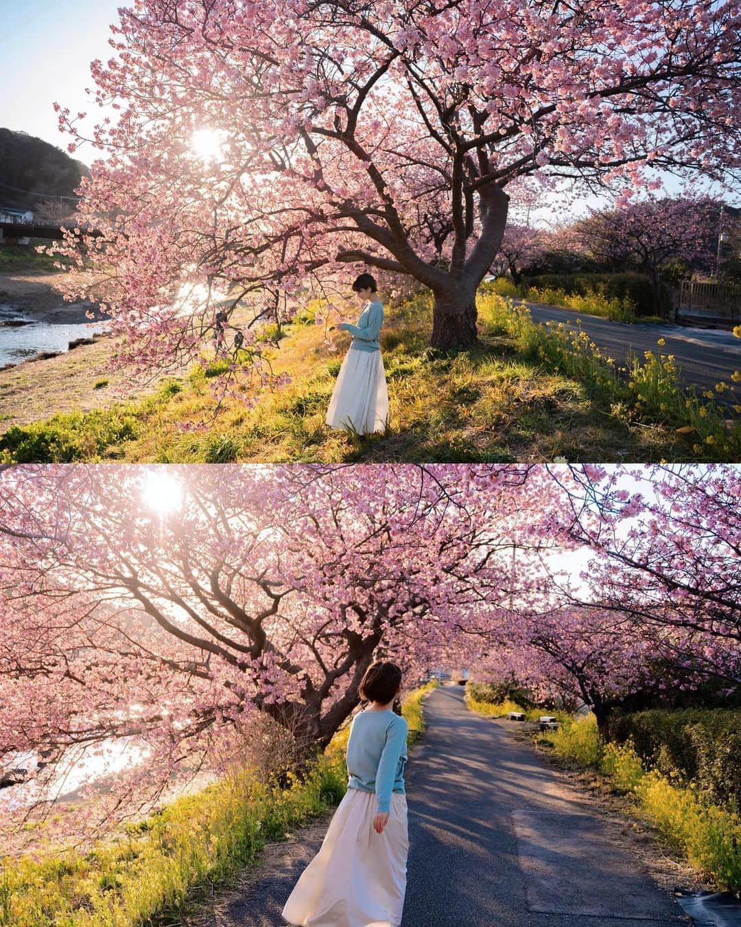 佐藤俊斗さんのインスタグラム写真 - (佐藤俊斗Instagram)「2022年桜の絶景。 ⁡ この場所へ訪れるのも今年で3年目となりました。 ずっと変わらない景色。今年も最高の桜並木でした。 是非見てみてください🌸 ⁡ ⁡ ⁡ ⁡ ⁡ ⁡ ⁡ ⁡ #2022年春 #夕陽と桜  #佐藤俊斗 #桜写真 #さくら」3月5日 22時09分 - shuntosato