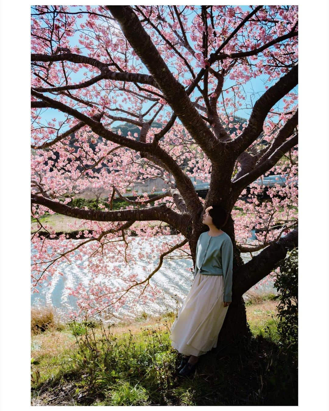 佐藤俊斗さんのインスタグラム写真 - (佐藤俊斗Instagram)「2022年桜の絶景。 ⁡ この場所へ訪れるのも今年で3年目となりました。 ずっと変わらない景色。今年も最高の桜並木でした。 是非見てみてください🌸 ⁡ ⁡ ⁡ ⁡ ⁡ ⁡ ⁡ ⁡ #2022年春 #夕陽と桜  #佐藤俊斗 #桜写真 #さくら」3月5日 22時09分 - shuntosato