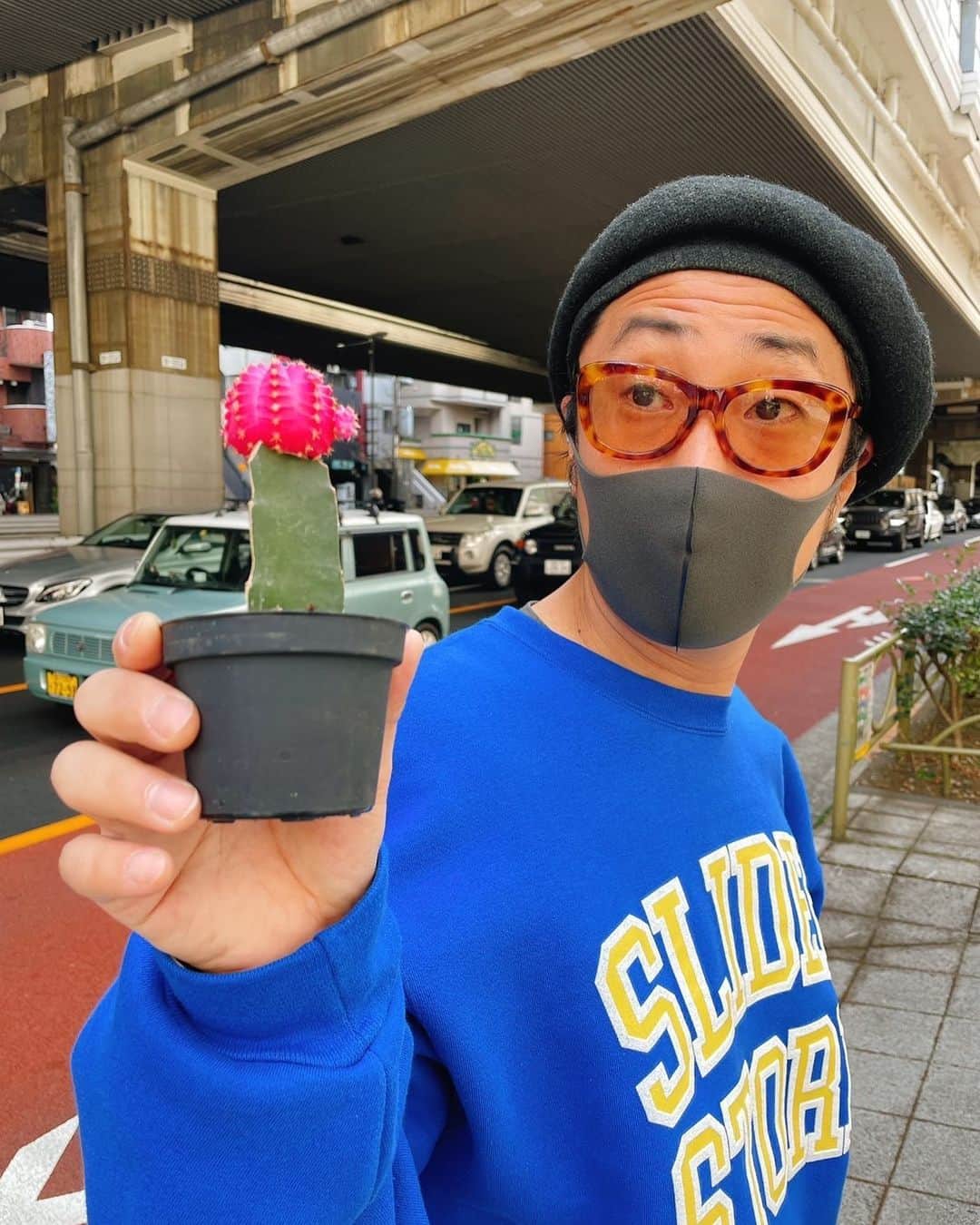 ゆってぃさんのインスタグラム写真 - (ゆってぃInstagram)「🌵🌵  我が家に🌵が来る事になりました！  #ゆってぃ #ワカチコ #サボテン #sliderstore #inari #ピンク #ピンクのサボテン #ピンクのサボテンなんてハッシュタグあるんだな #ハッシュタグ #ハッシュタグなんてハッシュタグもあるんだな」3月6日 13時18分 - yutty52_yuta