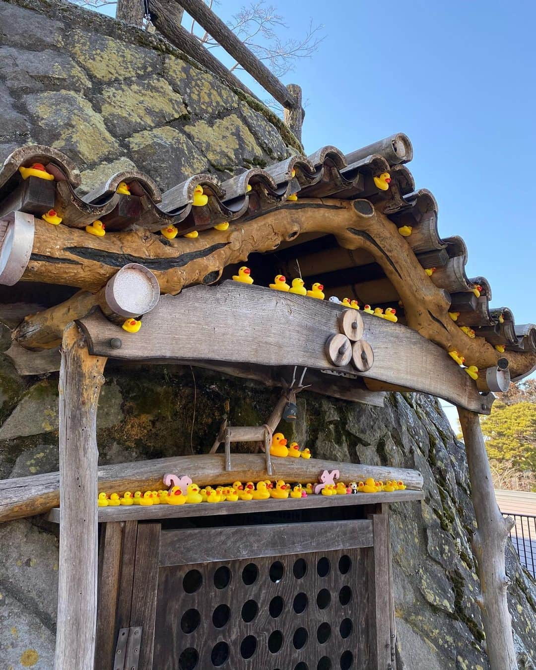 大寺かおりさんのインスタグラム写真 - (大寺かおりInstagram)「旅行にしばらく行けそうにないので 思い出投稿ってやつです😇 . 1年半ほど前に初めて行った 群馬県の伊香保温泉♨️ なかなかの渋さだったなぁ✨ レトロな街並みと 雄大な山々が印象的でした🏔 . . . こんな天気の良い週末は 近場で良いから旅行に行きたいなぁ なんて思ってうずうず、、🥺 . 温泉街ぶらぶらして お湯にのんびり浸かって 美味しいもの食べて癒されたい♨️ . . . #温泉旅行 #伊香保温泉 #伊香保神社 #過去pic #photo #photo_jpn #travelphotography #温泉 #癒されたい #♨️」3月6日 7時21分 - kaori_ootera