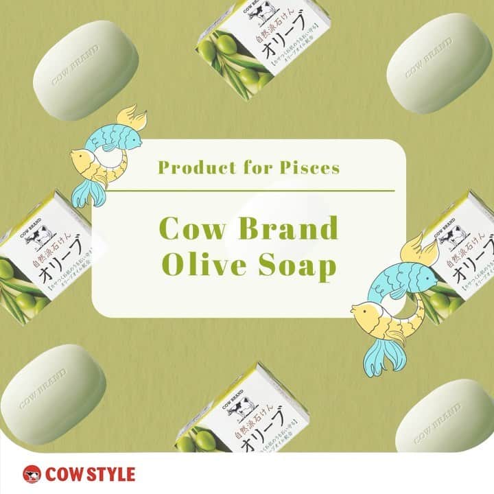 COWSTYLEIDのインスタグラム：「Karakter si Pisces yang santai dan ramah sesuai banget loh sama manfaat Cow Brand Olive Soap! 🐠=🧼🫒  Memiliki kanndungan alami dari olive oil, Cow Brand Olive Soap ramah banget di kulit kering kamu karena memiliki efek emollient untuk menghindarkan kulit dari kekeringan dan menjaga kulit tetap terhidrasi. Busanya yang lembut dan creamy akan membantu tekstur kulit tetap halus, lembut, dan lembab serta aromanya yang menenangkan bisa bikin kamu jadi relax deh~ 💅💆‍♀️💕  Fyi, Cow Brand Olive Soap bisa dipakai di wajah juga ya 😉  Absen dulu dong sahabat minCow yang zodiaknya Pisces 🙋🏻‍♀️🙋🏻‍♂️🙋🏻  #cowstyleindonesia #cowstylebeauty #cowbrandolivesoap #sabunjepang #japanesesoap #barsoap #olivesoap」