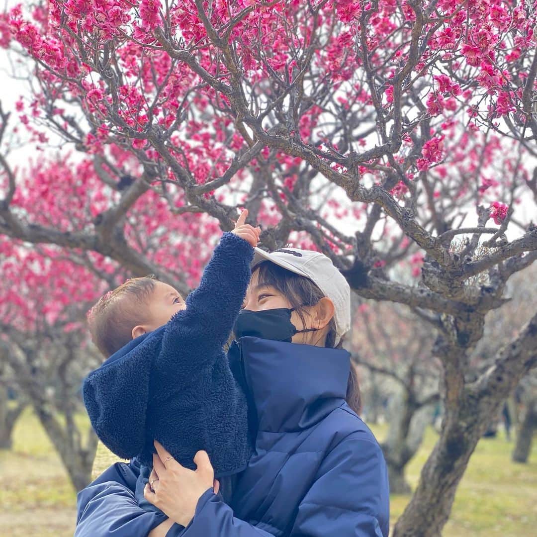 のインスタグラム：「. 今日は朝から公園をお散歩し梅の花を見て 午後からはMBSアナウンサーの朗読イベント「コトノハ」を観に行ってきました！😍 . 懐かしの先輩方、後輩たちが とてもとても輝いていました🥺❤️ コロナ禍で楽屋挨拶などができないため 誰とも会えませんでしたが まるでそれぞれと言葉を交わしたかのような気持ちになる とっっっても温かい舞台でした🥺👏✨ 生後11か月の次男を連れて行ったので どうなるか心配でしたが… 意外と最後までちゃんと見られました！😭✨ 楽しかったーーー🌸✨ #コトノハ　#MBS」