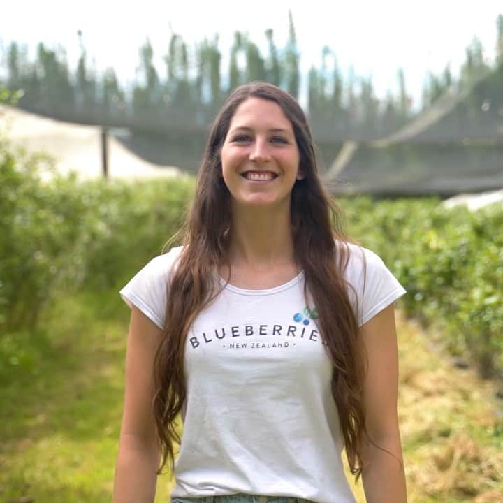 エリザ・マッカートニーのインスタグラム：「It's still blueberry season (‼️) and our amazing growers are working hard to deliver delicious fresh blueberries to stores within 24 hours of being picked. Get a punnet before the season ends 🫐 @blueberriesnz #nzblueberries」