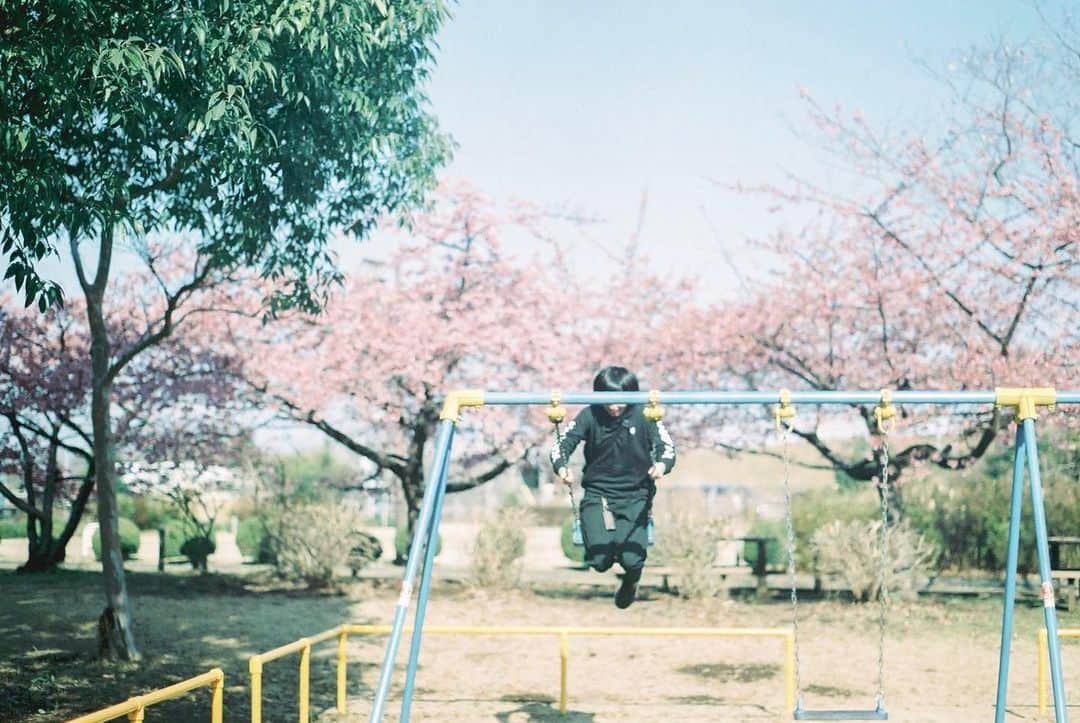 花澤杏華さんのインスタグラム写真 - (花澤杏華Instagram)「はるですね、春。」3月6日 16時52分 - aprico7_