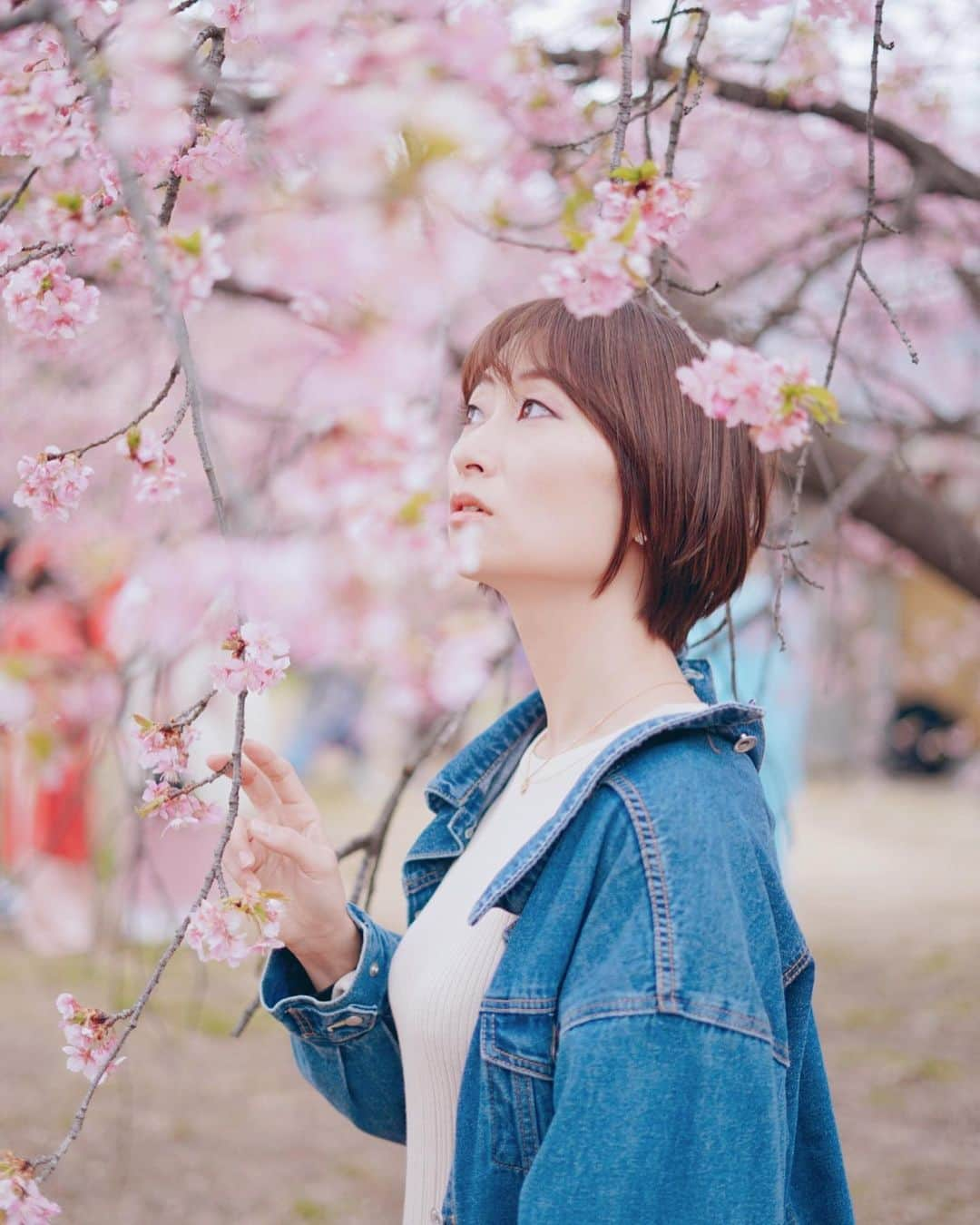 松村加南子さんのインスタグラム写真 - (松村加南子Instagram)「代々木公園の桜🌸」3月6日 18時24分 - matsumurakanako