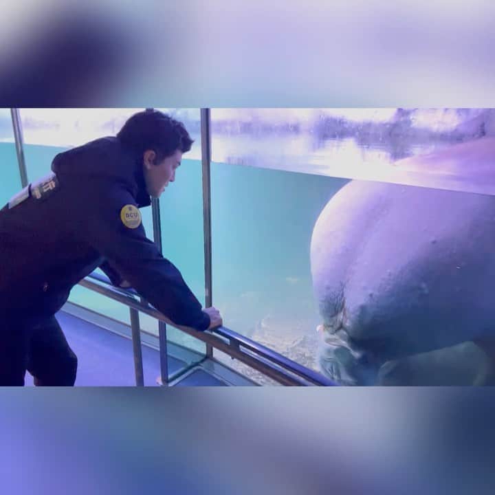 DCUのインスタグラム