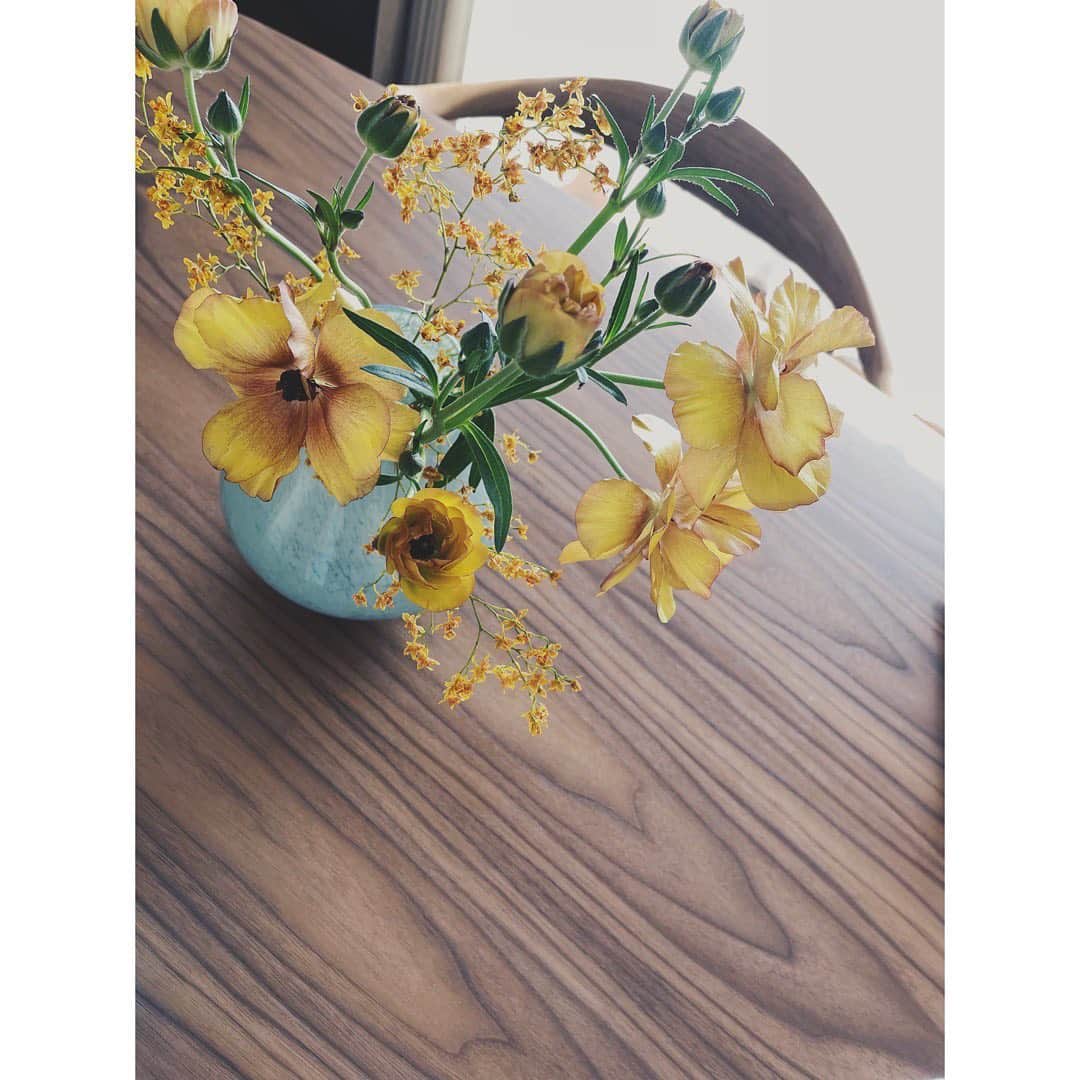 野尻美穂のインスタグラム：「新しく開くツボミと沢山美しく咲いた花。 どちらもすき。  自転車デビューした私たち、後ろ向いたらネックウォーマー自分でこうしててこちらもすき。」