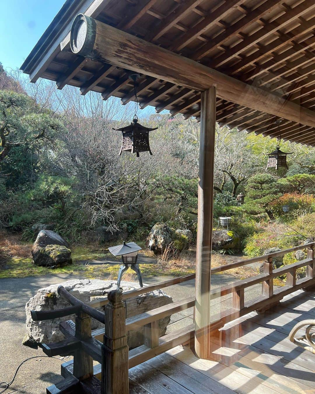 小越しほみさんのインスタグラム写真 - (小越しほみInstagram)「撮影で行ったすてきな宿🌷 ・ お花沢山咲いてて春を感じた☺️🤍 ・ ・ ・ ・ ・ ・ ・ ・ #撮影 #shooting #andrabbit #アンドラビット #韓国ファッション #肩出しニット #肩出しトップス #肩出しファッション #ミニスカート #ミニスカ #シクラメン #花 #梅 #flowers #ストレートヘア #japanesegirl #自拍 #河津 #河津町 #旅館 #花舞竹の庄 #峰温泉 #宿 #春」3月6日 20時44分 - shihomi1129