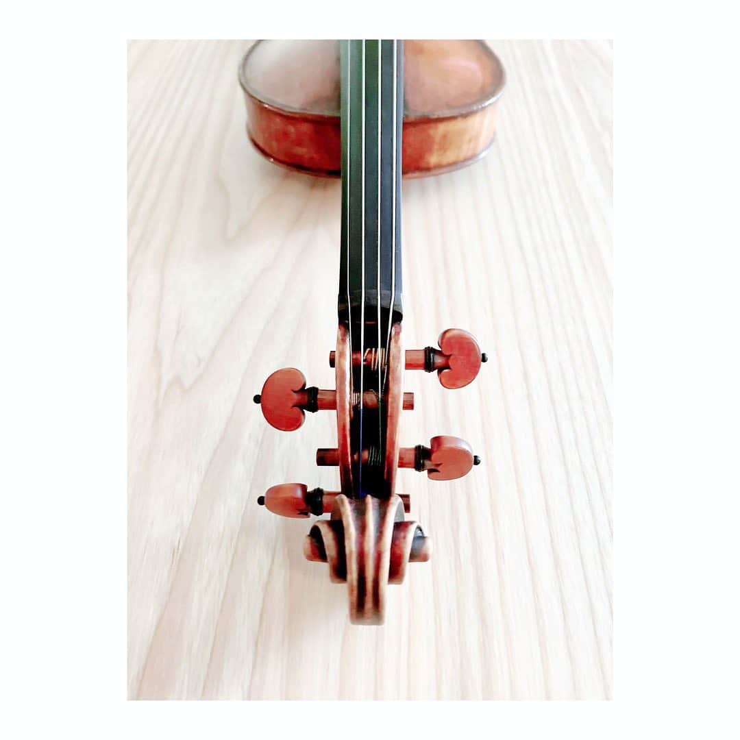 宮本笑里さんのインスタグラム写真 - (宮本笑里Instagram)「メンテナンスを終えて。軸が整い 感動的に一音目から違う…  @nipponviolin 中川様の神業、迅速な対応に いつも感謝です。  #おかえりなさい #日本バイオリン  #violin #violinist #バイオリン」3月7日 8時04分 - emirimiyamoto