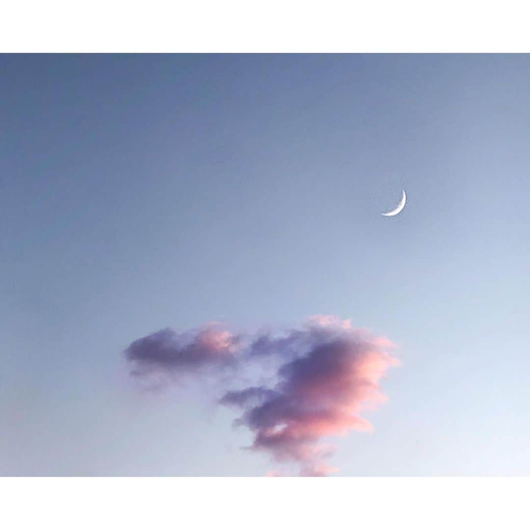 palomaparrotのインスタグラム：「right here. right now. breathe in. breathe out.」