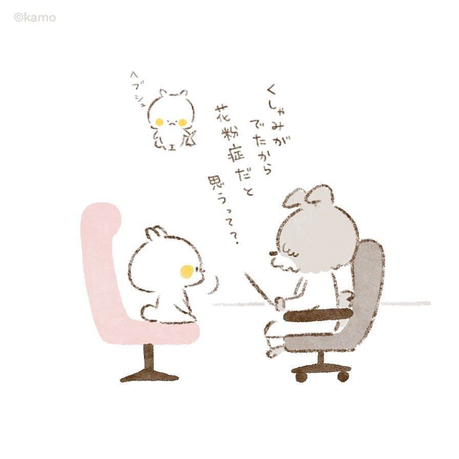 カモのインスタグラム