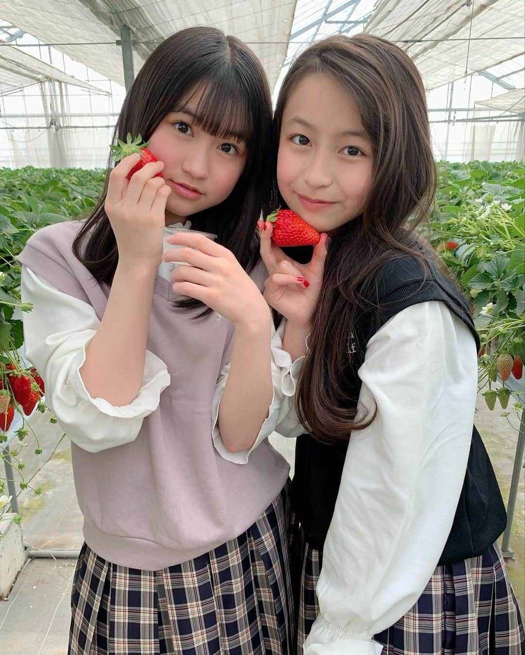 ゆめ & じゅなさんのインスタグラム写真 - (ゆめ & じゅなInstagram)「いちご狩りに行ったよー♡  ゆめは50個以上、じゅなは70個以上 食べたよー！！  大きくて、真っ赤で甘くて最高でしたー！  みんなは何個くらいイチゴを食べられますか？  気になるっっ！！！  How many strawberries can everyone eat?   #ゆめじゅな  #姉妹  #2歳差姉妹  #ゆめ  #じゅな  #いちご狩り #お揃い #双子コーデ   #真っ赤 #甘い  #美味しい  #いちご #イチゴ   #食べ放題  #色違いコーデ #蜜蜂  #お出かけ   #気になる #何個でも食べられる #嬉しい  #picture #photo #sister #strawberry   #strawberrypicking  #🍓」3月7日 20時00分 - yumejuna