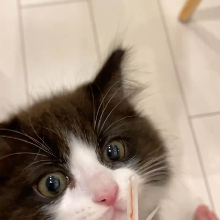向葵まるのインスタグラム