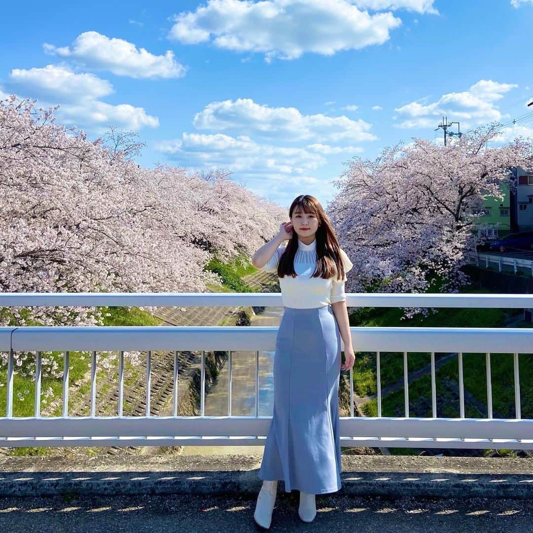 上野貴穂さんのインスタグラム写真 - (上野貴穂Instagram)「. 今年も🌸🌸🌸  #奈良 #桜」4月5日 21時43分 - kiho_ueno