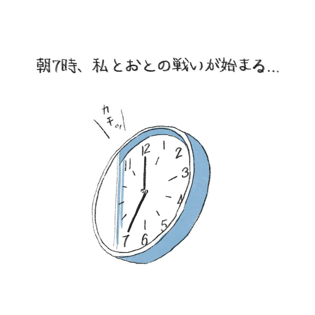 カズオPのインスタグラム：「明日の朝もこの戦いが待っています…  #ポロとおとのすくすく成長日記  #ポロ #おと #愛犬  #ふわもこ部 #ビションフリーゼ #ビション #ビションあるある #犬バカ部 #絵日記 #ビションフリーゼ多頭飼い #読谷村 #bichongram #bichonstagram #bichon #bichonfrise」