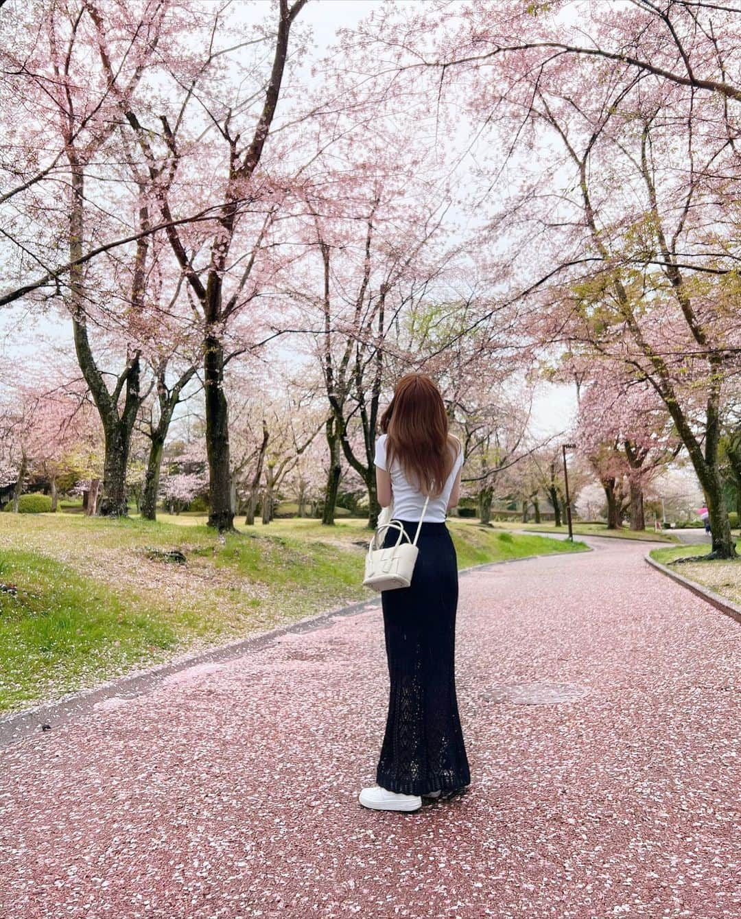 桃華絵里さんのインスタグラム写真 - (桃華絵里Instagram)「🌸🌸🌸  満開の桜が散りはじめて  ピンクの絨毯ができる頃が 1番スキです♡  mocoa'sロングセラー 毎年大人気の 美ラインTシャツ 今年も全サイズ再入荷いたしました！  さっそく 沢山のご注文を誠にありがとうございます🥲🙏🏻  絶妙なマーメイドラインが美シルエットなスカート 私は ラテ.ブラック.バニラをget♡  これからの季節 たくさん 着回します😊✌︎  #桜 #愛犬 #桜の絨毯 #コーデ  #sakura #dog #ootd #mocoas」4月5日 22時24分 - _momoka828_