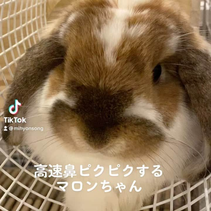 宋美玄のインスタグラム