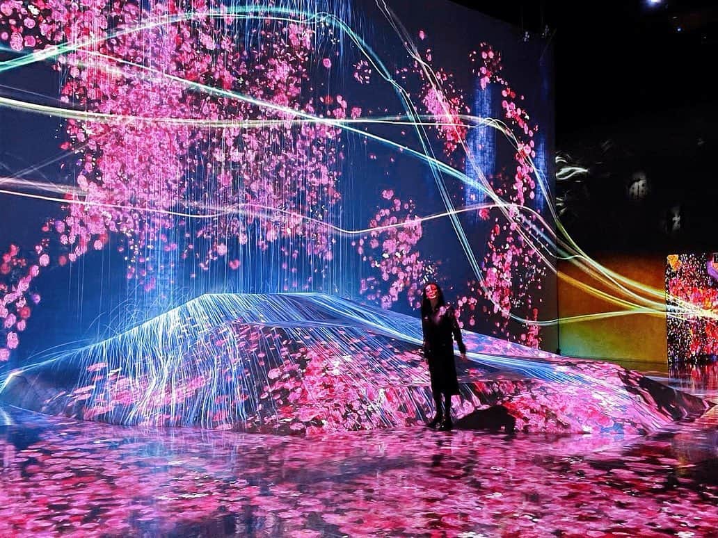 松澤千晶のインスタグラム：「映え〜(*´Д`)なところで今日はお仕事させていただきました🌸  これは載せたくなりますね。笑  #teamlab #呼応するランプの森」