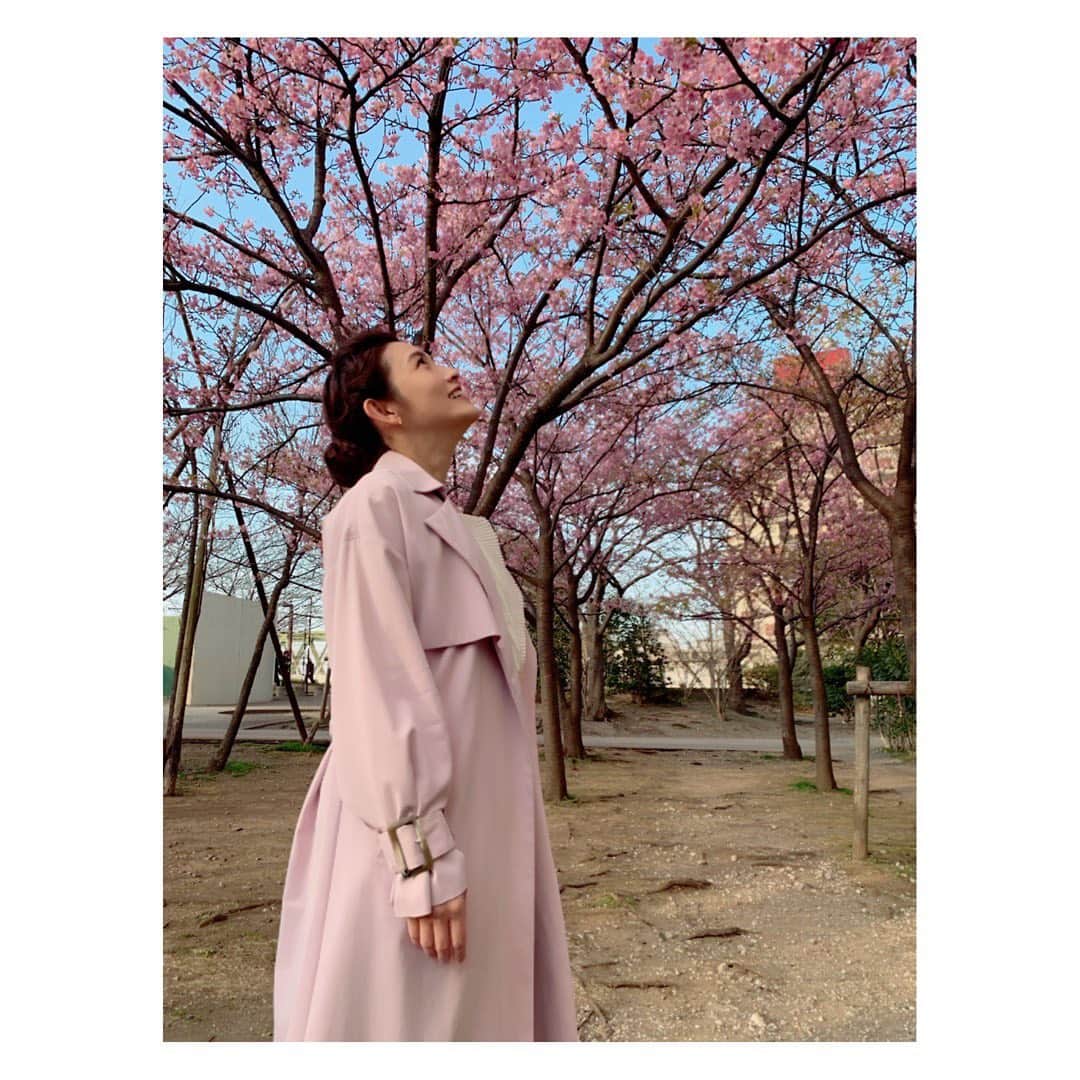 のインスタグラム：「正直に生きれば生きるほど上を向いていつしか空に吸われん #正直不動産 #NHK #新ドラマ #ゲスト出演  20224/5　22:00～　NHK総合 ドラマ10『正直不動産』  How have you been recently? I’m really enjoying this Spring. There is a lot of people looking up at cherry blossoms. Be positive! Be honest!」