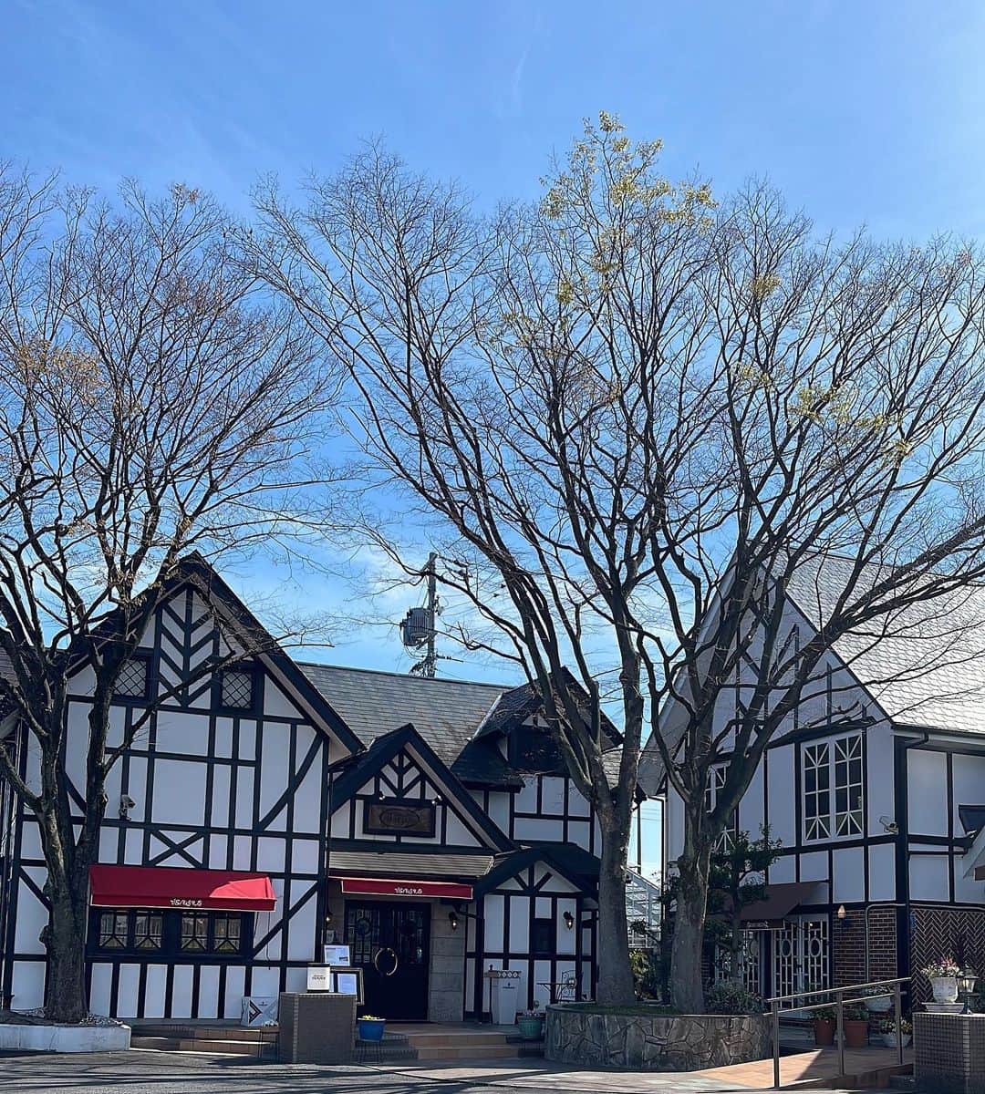 のインスタグラム：「久しぶりにともちゃんとランチ🍴🎶 ともちゃん行きつけの素敵なイタリアンレストラン「ベニーニ」✨✨✨ どれも美味しくいただきました❣️ 最後のデザートは好きなだけ選べて、 もうお腹がいっぱいで食べられないと思ったんですがペロリといただきましたよ。😋 やっぱりこれは別腹ですね😉🍰💕 #ランチ#イタリアンレストラン #イタリアンレストランベニーニ #素敵なお店#美味しい料理 #楽しいひととき#いつもありがとう #水谷雅子#水谷雅子の美容の秘訣シリーズ」