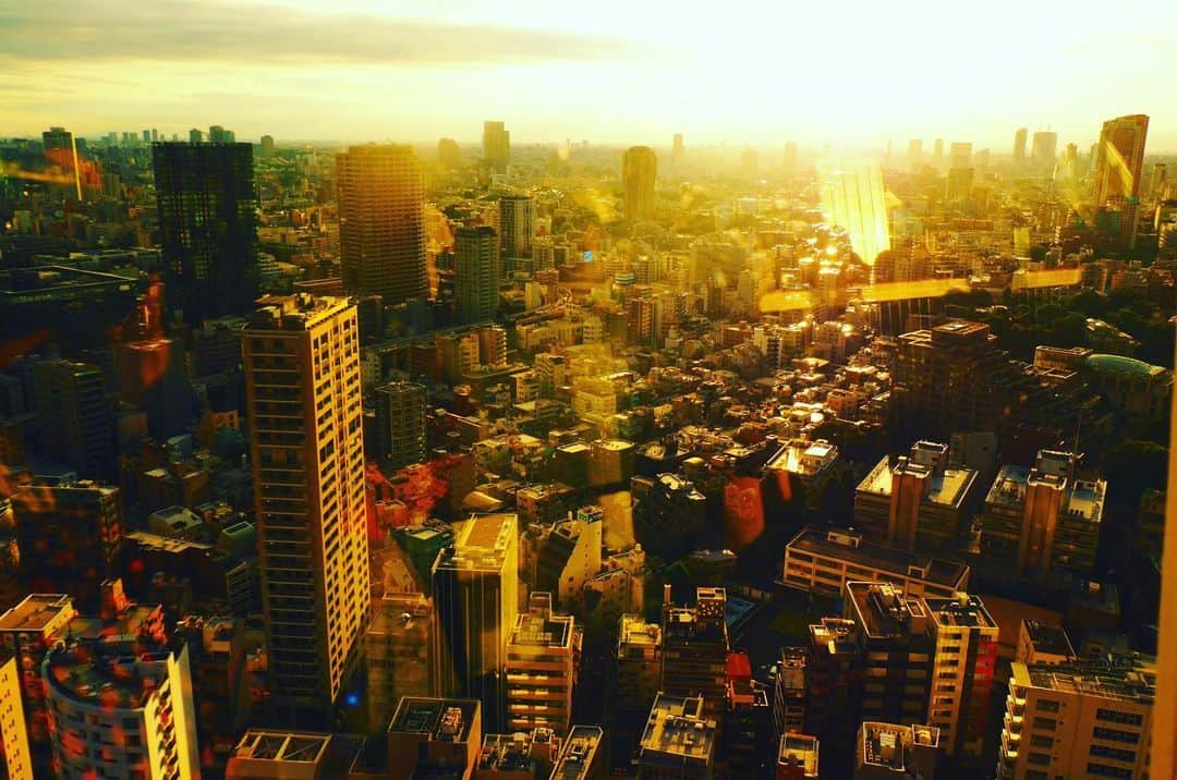 川村エミコのインスタグラム：「またね。です。  #綺麗 #🗼」