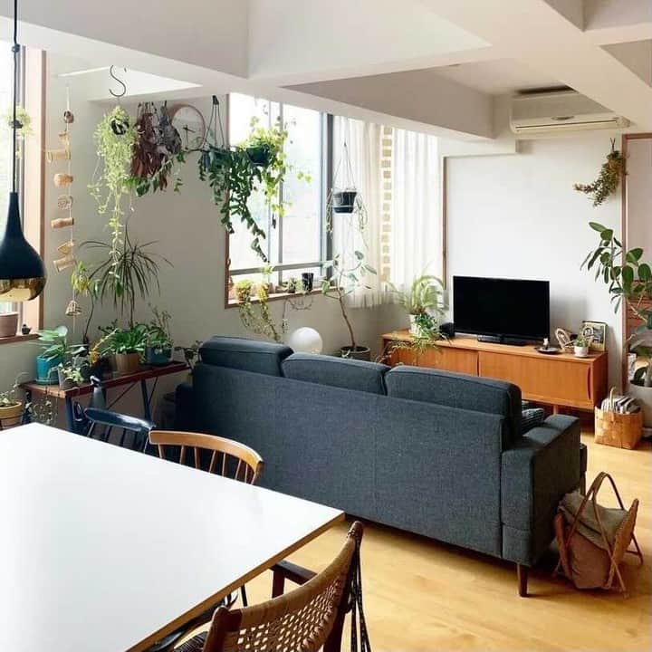 のインスタグラム：「【店長佐藤のアカウントよりお届け！】先週末のリビングの風景。 . - - - - - - - - - - - - 部屋が整うと、 不思議と気持ちも整ってくるもの。 春は新しいことも始まり、 なにかと気持ちがソワソワする季節ですが、 うまくコントロールしていきたいものですね🌸  写真は、先週末の店長佐藤宅。 いつもよりもしっかりめに、 掃除をしたそうなんです。  ■ 店長佐藤（@tomokosato_hokuohkurashi）： 「週明けは数年ぶりに出張があるので、 安心して行けるよう、 いつもなら見て見ぬふりする 部屋の隅の方まで拭き掃除をしたり、 植物も次の週末まで元気でいてもらえるように 念入りに手入れしたり、 冬物をせっせと洗濯したり。  イレギュラーなイベントがあると、 その前に念入りに家事をすることで、 なぜだか安心して臨めるわたしです😅  冷蔵庫のなかにも 食材を充実させたので、 よし、これで出張行けるぞ💪」 . - - - - - - - - - - - 店長佐藤のアカウントでは、愛用品や 自宅インテリア、日々の暮らしを更新中！ ぜひフォローしてご覧になってみてくださいね。 ➔@tomokosato_hokuohkurashi . . . #interior#interiors#livingroom#homedecor#instahome#homewares#掃除#リビング掃除#テーブル#花のある暮らし#器#インテリア#北欧インテリア#リビング#リビングインテリア#北欧ヴィンテージ#北欧ヴィンテージ食器#食器#賃貸#賃貸物件#賃貸インテリア#マイホーム#インテリア雑貨#家具#北欧暮らしの道具店」