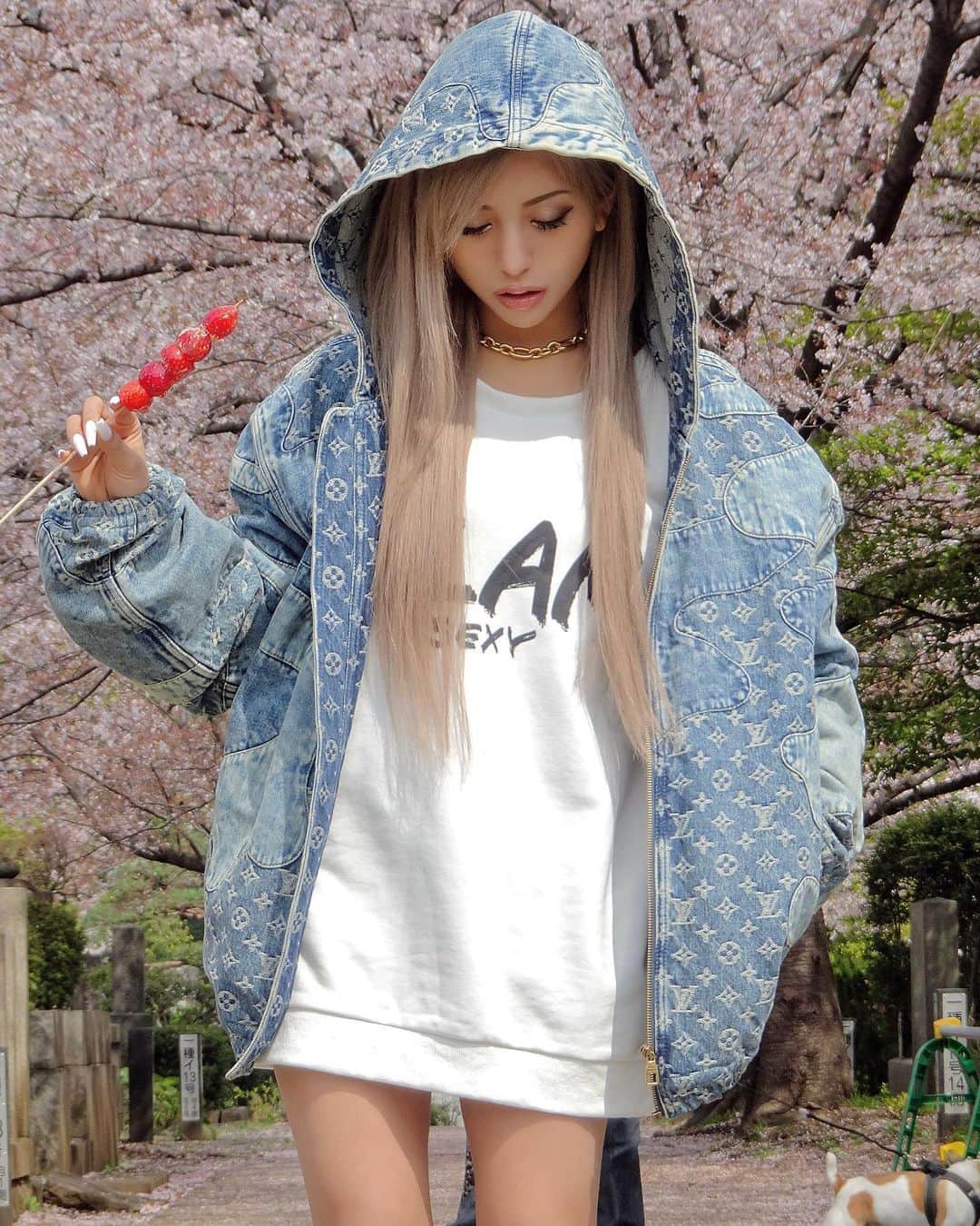 華のインスタグラム：「新年度も華様をよろしくナ🌸」