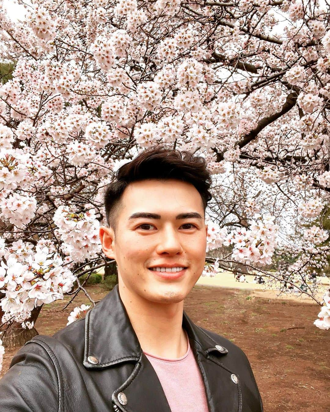 柴田嶺のインスタグラム：「Sakura is blooming in Tokyo🌸 #sakura#shinjukugyoen#花見」