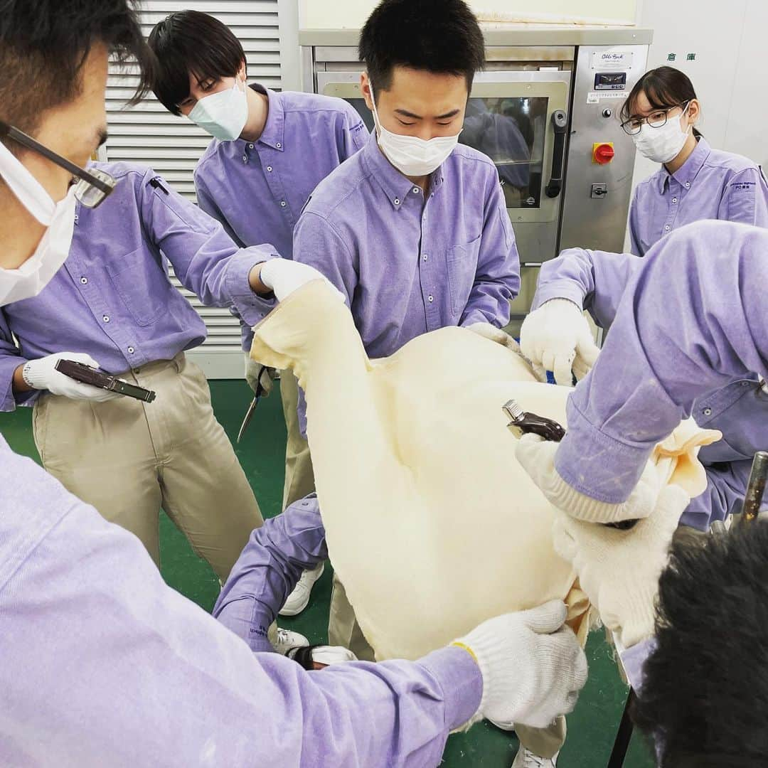 はいてくPOさんのインスタグラム写真 - (はいてくPOInstagram)「北海道ハイテク 義肢装具士学科3年 特殊装具  特殊装具の実習です😄 香港式側弯症装具を製作してます👍  本日はモールドの作業です。 皆、力を合わせて頑張ってます😄  #北海道ハイテク #義肢装具士 #義肢装具士学科 #側弯症用装具 #香港式 #モールド」4月2日 15時16分 - hhtpo