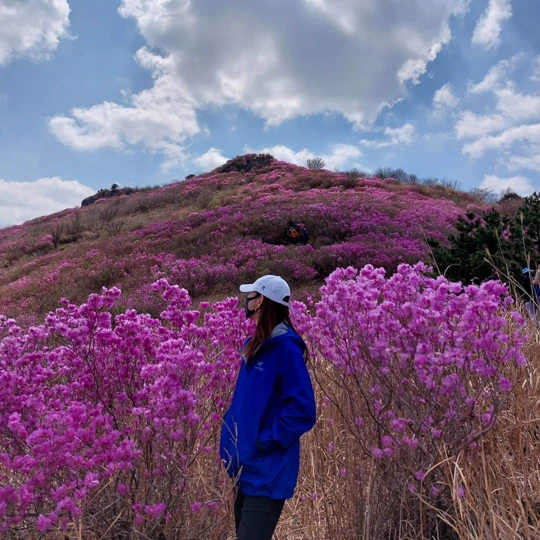のインスタグラム：「🌸꽃같이 살자 🌸」