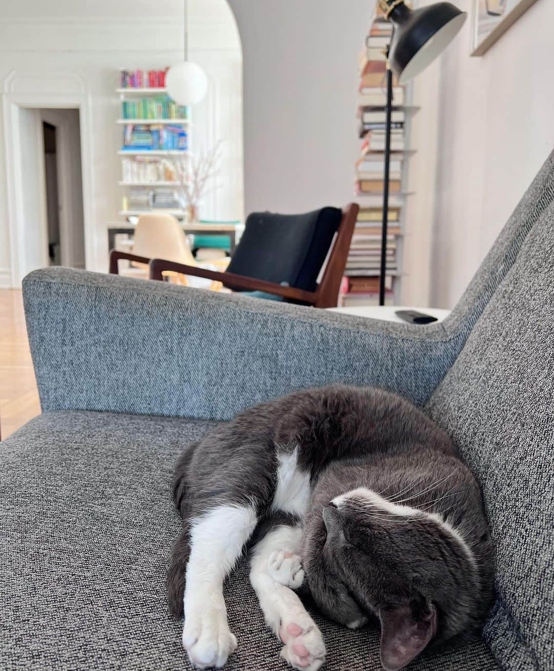 Reed Reederのインスタグラム：「💤」
