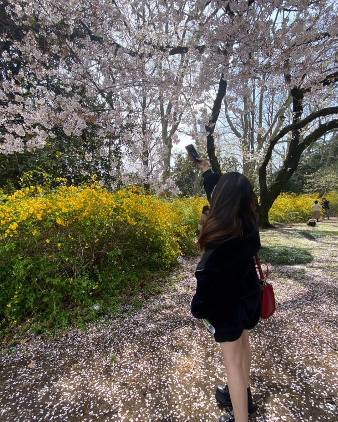 卯花莉央さんのインスタグラム写真 - (卯花莉央Instagram)「さくらきれいだった。」4月2日 19時26分 - rio_ubana