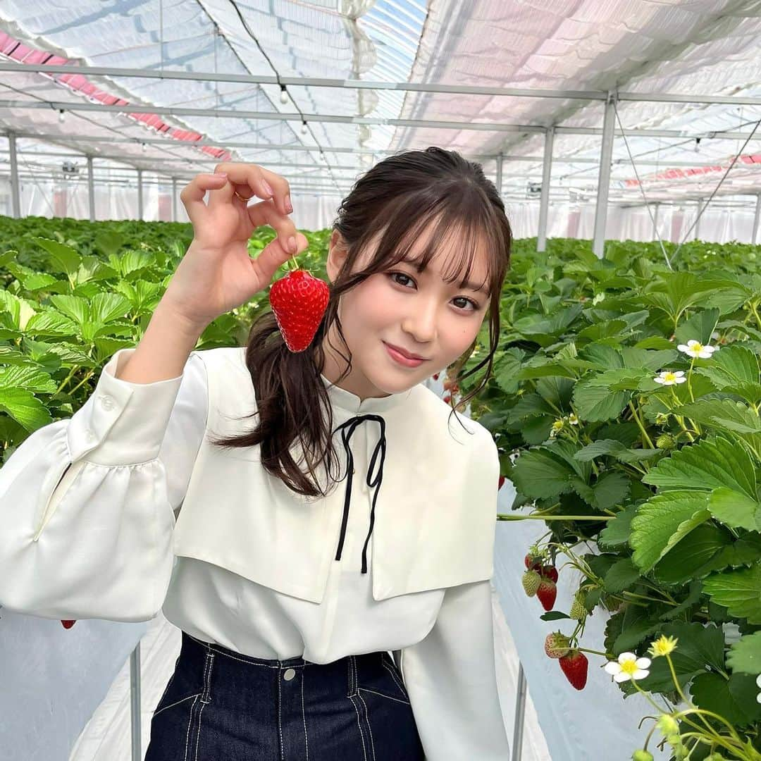 月野有菜さんのインスタグラム写真 - (月野有菜Instagram)「いちご狩り幸せでした🍓」4月2日 20時30分 - yuna_tsukino920