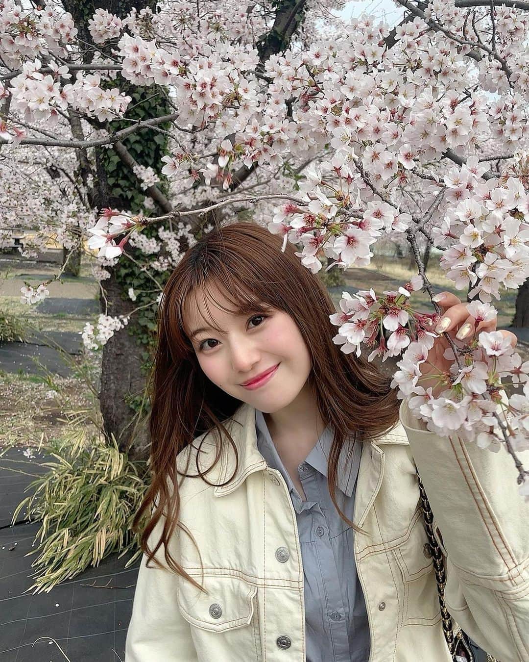 萩田帆風のインスタグラム：「. 滑り込みセーフ桜」